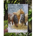 thumbnail image 3 of Carolines Treasures ASA2146GF Shetland Ponies Flag Garden Size, 3 of 3