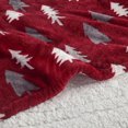 thumbnail image 3 of Beautyrest Plush to Sherpa Heated Throw, 3 of 3