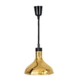 thumbnail image 4 of GROWTH TANK Lampe Chauffante pour Aliments, Lampe de Réchauffement de Buffet Réglable pour Restaurant, Buffet de Nourriture Chaude, Or, 4 of 9