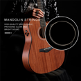 thumbnail image 3 of 32 Pcs Ensemble de Ficelles de Mandoline g D A E Accessoires de Mandoline M100, 3 of 7