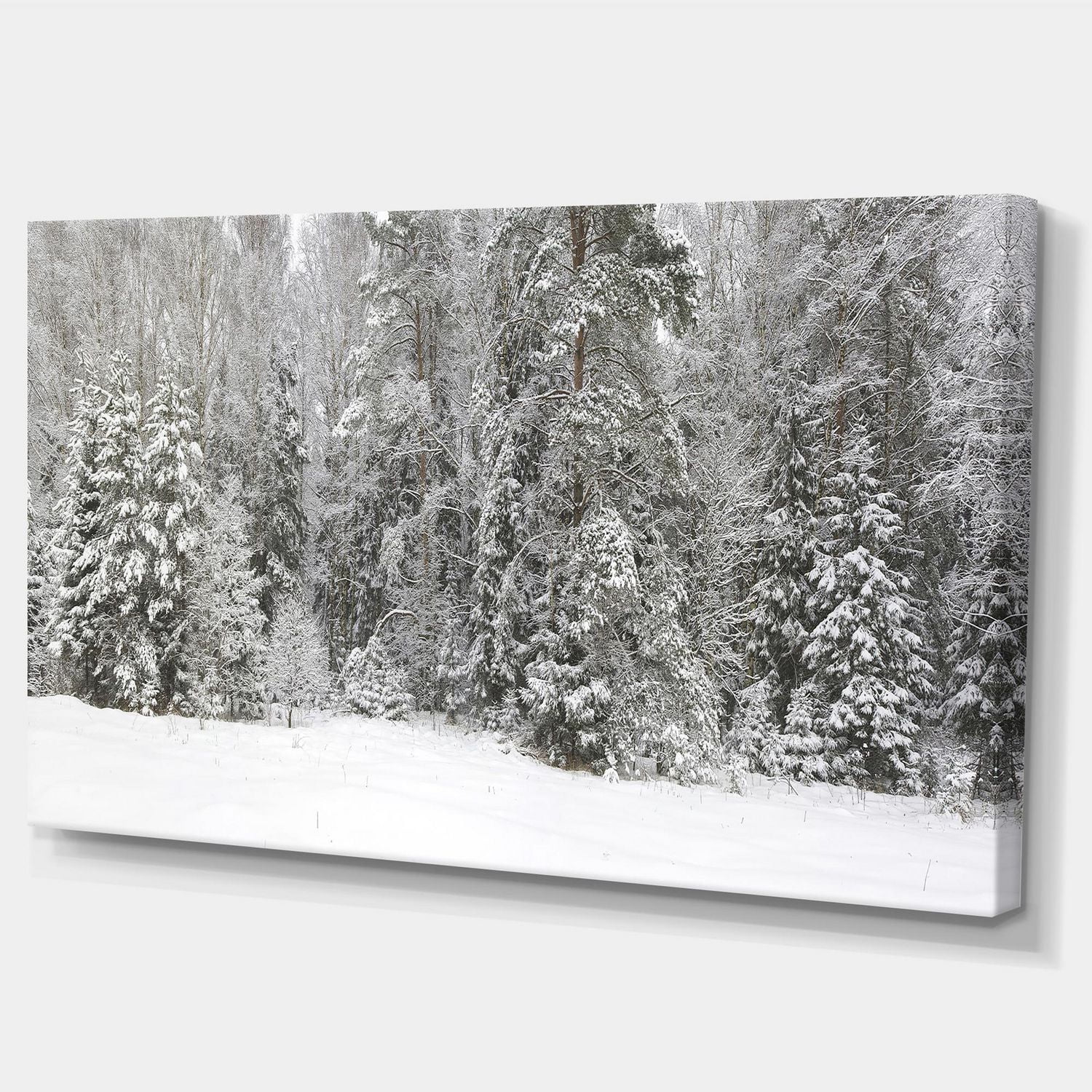 Designart Panorama brumeux de la forêt d'hiver Art mural sur toile