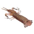 thumbnail image 3 of Simulation Shrimp Model,  Shrimp Model Solid Exquisite Details Plastic Mantis Shrimp Shape  For House Decoration For Children Cognitive Toy, 3 of 8
