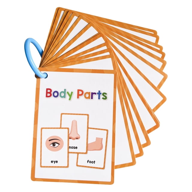 Jierger Clearance Body Parts Learning Cards | Body Parts Flash Cards for | English Pocket Card 15Pieces Body Parts Flash Card | Vocabulary Words Flashcard Educational Learning Flashcard for Kids