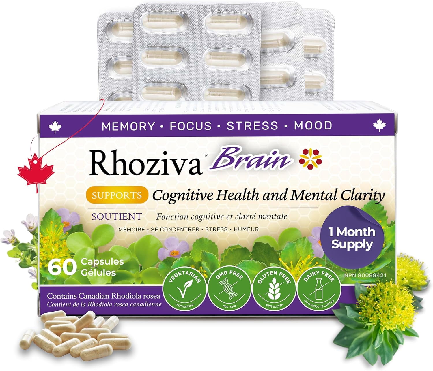 Brain Supplement for Memory, Focus, Cognitive Health, Rhodiola Rosea, Bacopa Monnieri, Multivitamin with Vitamin B Complex, Biotin, Magnesium, Iodine for Brain Function - 60 Capsules, 1 Pack