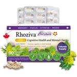 Brain Supplement for Memory, Focus, Cognitive Health, Rhodiola Rosea, Bacopa Monnieri, Multivitamin with Vitamin B Complex, Biotin, Magnesium, Iodine for Brain Function - 60 Capsules, 1 Pack