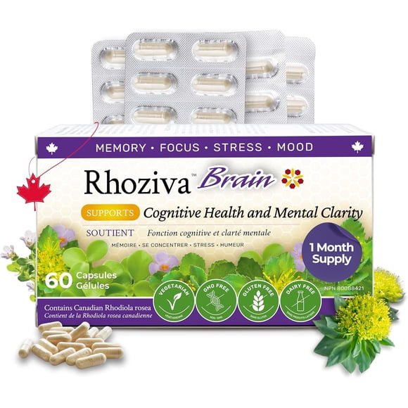 Brain Supplement for Memory, Focus, Cognitive Health, Rhodiola Rosea, Bacopa Monnieri, Multivitamin with Vitamin B Complex, Biotin, Magnesium, Iodine for Brain Function - 60 Capsules, 1 Pack