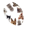 thumbnail image 2 of ziyahi Creative 3D Toilet Stickers Bathroom Stickers Toilet Decorative Decals Cat Dog, 2 of 8