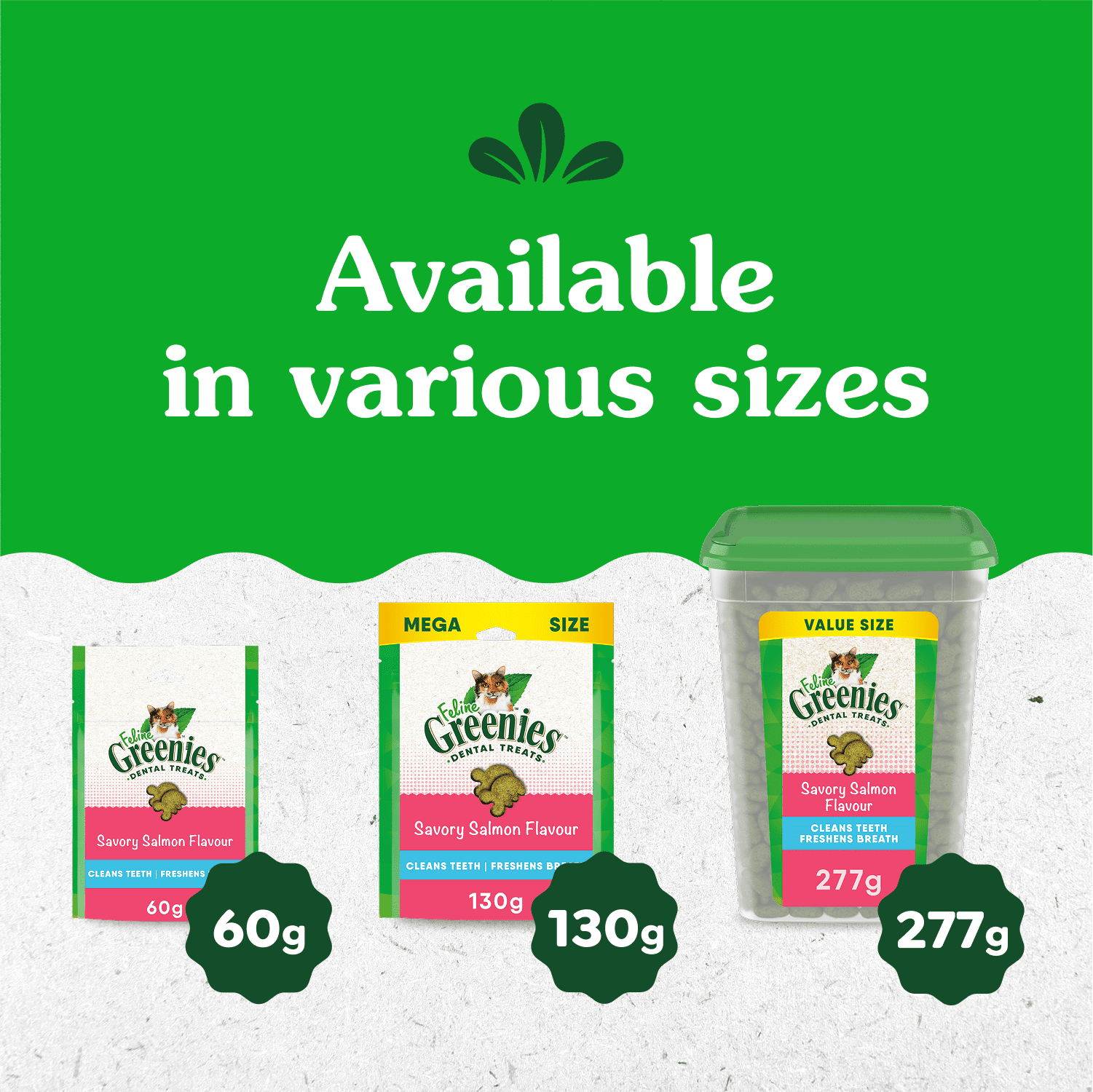 Gâteries dentaires pour chats adultes Greenies, saveur de saumon aromatique