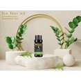 thumbnail image 2 of KRIAA Goodness Tea Tree Essential Oil 10ml with Dropper, 2 of 6