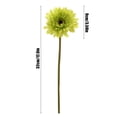 thumbnail image 4 of Iumwxz Room Decor Chrysanthemum Simulation Flower Home Decoration Table Decoration Fake Flower Simulation Flower Home Wall Decor Easter Green Plastic My Order, 4 of 7