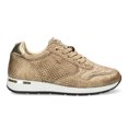 thumbnail image 1 of MEXX Sneaker femme Goldie dorée, 1 of 6