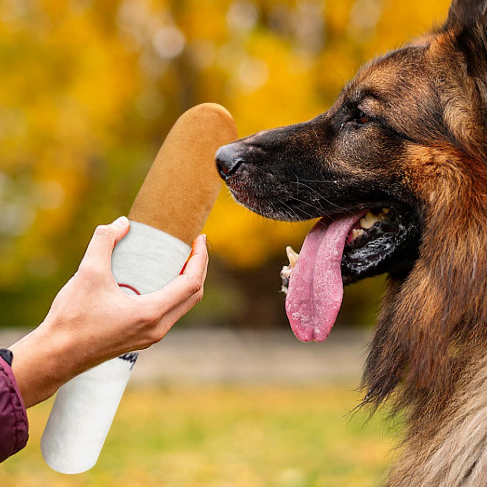 REK Dog Toy Squeaky Dog Toys Novelty Dog Toy Squeaky Toys Interactive Dog Toy Simulation Chewing Pet Toy For Small Medium Large Dogs