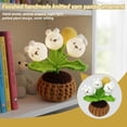thumbnail image 3 of Handmade Crochet Panda Potted Night Light Cute Knitted Ornament Home Office Decor Gift, 3 of 5
