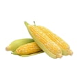 thumbnail image 4 of Corn on the cob, 4 of 8