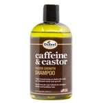 Difeel(Sunflower) Caffeine & Shampooing pour une croissance plus rapide (12oz)Difeel(Tournesol) Caféine & Shampooing pour une croissance plus rapide (12oz)