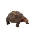 thumbnail image 1 of IROINID Tortoise Animal Figurines Toys Home Decorate Preschool Educational, 1 of 3