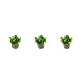 thumbnail image 1 of Decodeary Green Eco-friendly Artificial Money Tree In Pot Long-lasting Durability Realistic Appearance new blue babysbreath 3Set, 1 of 6