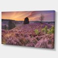 thumbnail image 2 of Blooming Heather at Dawn Panorama - Landscape Canvas Art Print, 2 of 4