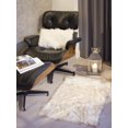 thumbnail image 3 of H-Luxe Hudson Faux Fur2'X3' Rug, 3 of 5