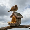 thumbnail image 4 of Bird Feeder For Outdoor Gardens And Yards Durable Easy Install Squirrel Feeder For Small Birds With Convertible Options And Weather Design, 4 of 6