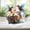 C, variant on Wzzjkit Household Essentials Acrylic Desktop Decoration Home Party Decoration