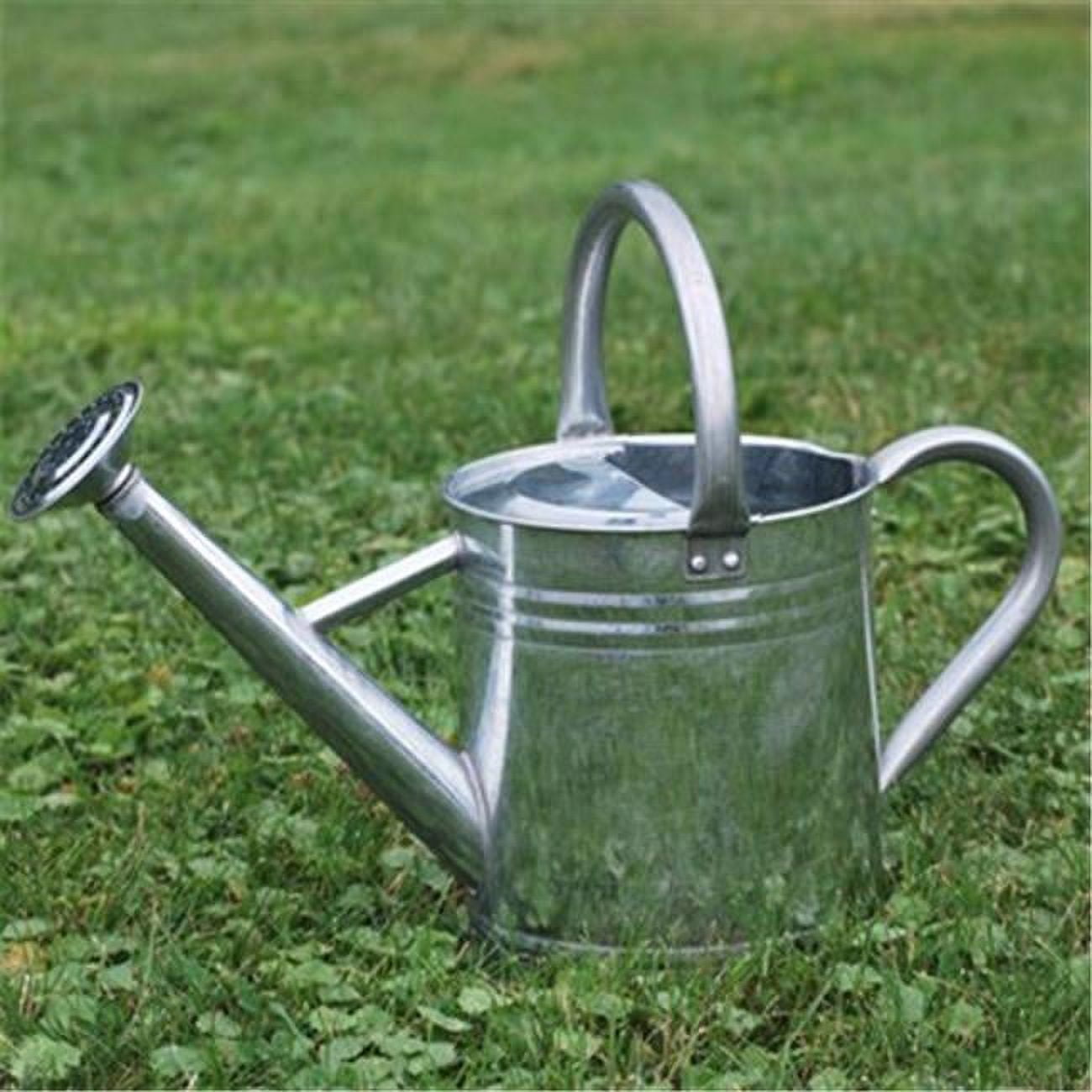 Gardener Select GSAW3003P6G 3.5 litre Watering Can Galavanized