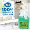 thumbnail image 4 of 4.27L GV DISHWASING LIQUID - ORIGINAL SCENT, 4 of 4