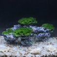 thumbnail image 4 of Aquarium Landscape Simulated Decorative Resin Aquatic Cave Fish Tank Decoration, 4 of 6