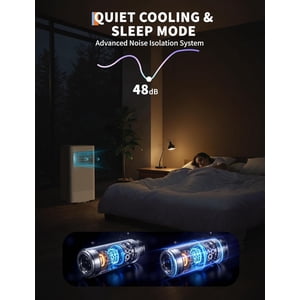 Royalbelle 8000 BTU portatif Air Conditionneur avec déshumidificateur & Télécommande, blanc