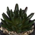 thumbnail image 5 of hometrends Cozby Faux Succulent in Black Pot, 5 of 5