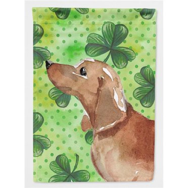 Carolines Treasures BB9546CHF Red Tan Dachshund St. Patricks Canvas House Flag