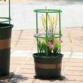 thumbnail image 4 of Tomato Cage for Pots Garden Plant Support Tomatoes Trellis Cages, 4 of 10