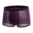 thumbnail image 1 of Boxhero Bamboo Fiber Briefs, 1PCS Bamboo Fibre Shorts AU, 1 of 4