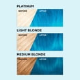 thumbnail image 3 of L'Oréal Paris Colorista Semi Permanente Hair Color, 3 of 7