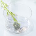 thumbnail image 3 of Stackable Heat Resistant Glass Bowl Transparent Salad Bowl Innovative Dessert Fruit Box, 3 of 8