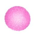 thumbnail image 1 of larppty Squishy Stress Balls Textured Sensory Moldable Crunchy Squeeze Jelly Mochi Crystal Gel Squish Fidget Toy Anxiety Relief Desk Focus Calming Hand Therapy Soft Elastic, 1 of 6