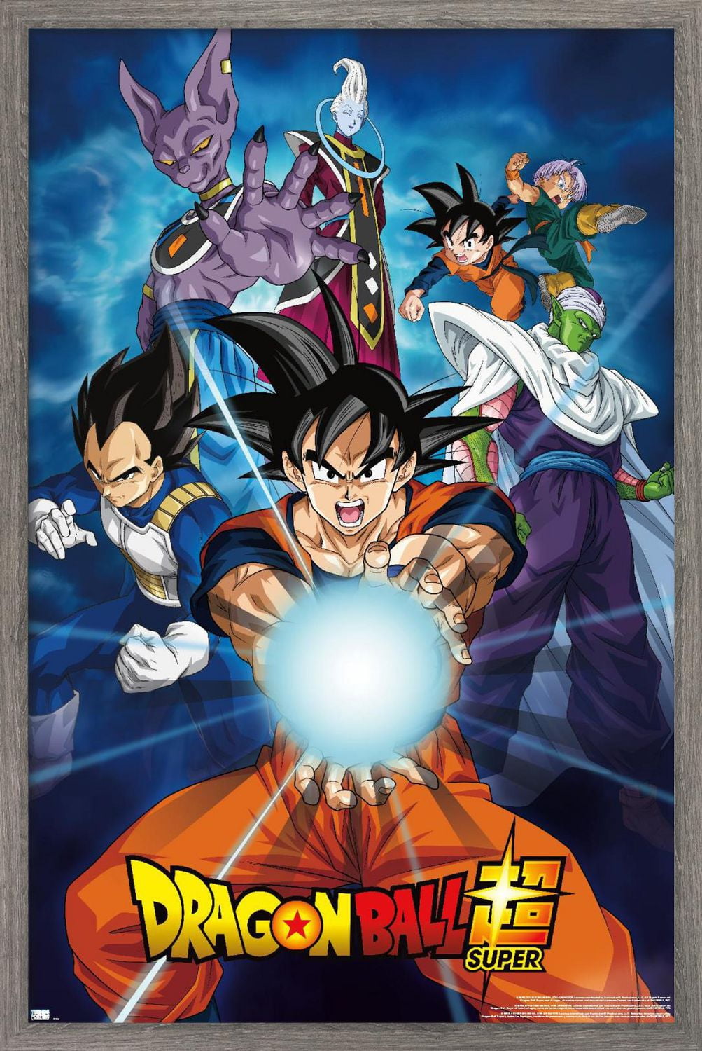 Dragon Ball Super - Groupes