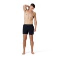 thumbnail image 2 of Speedo Short de Bain 16 Pouces pour Homme Adulte Uni « The Lookout Volley » - Anthracite, Taille : M, 2 of 4
