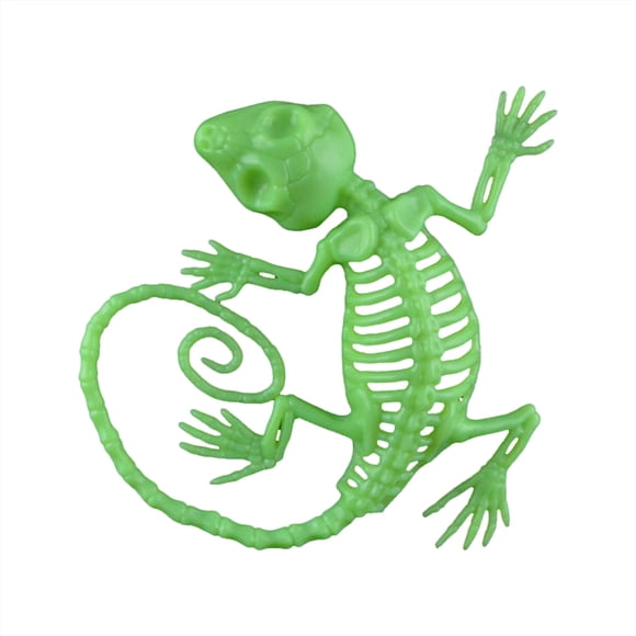 TIELUTT Halloween Animal Skeleton Props Skeleton Gecko Halloween Decorations Party Props Baby Bath Dolls Jokes Months Games 4 Months Games Girl 10 Years Female