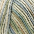 thumbnail image 2 of Red Heart® Fil Super Saver®, Imprimés, Acrylique #4 Médium, 5oz/142g, 236 Yards, 2 of 2