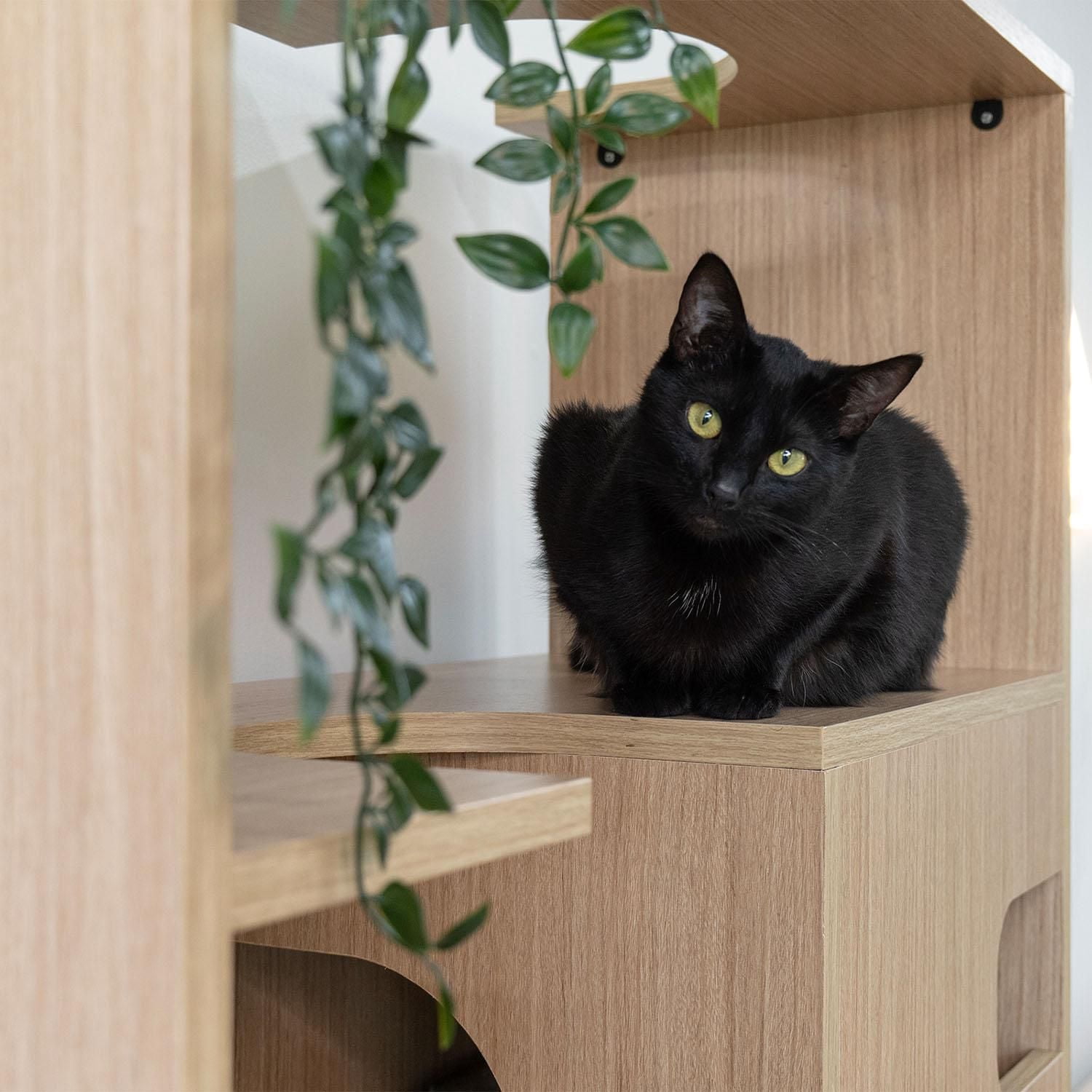 Instachew TANKEN Multifunctional Cat Furniture with Storage Oak One Size