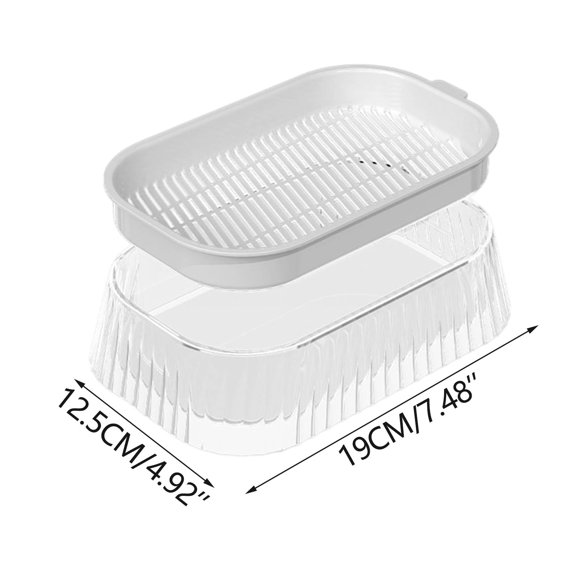 Plateaux en Plastique pour Salle de Classe, Trousse de ling Transparent Sans Sol, Hydroponique, Base Stable sur Appui de Fenêtre