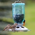 thumbnail image 4 of Perky-Pet Mason Jar Wild Bird Feeder – 1 lb Capacity, 4 of 9