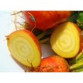 thumbnail image 1 of 30 Graines de Betterave Dorée BURPEE'S Beta Vulgaris à Racine Jaune Légumes, 1 of 5