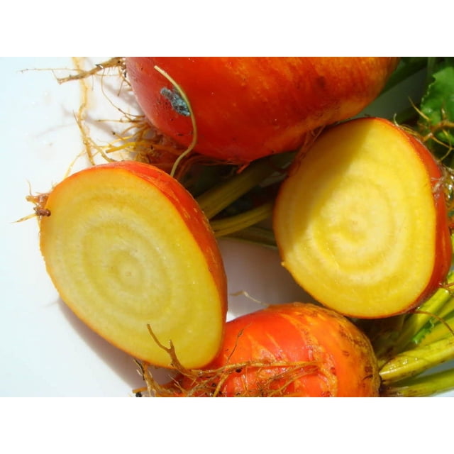 30 Graines de Betterave Dorée Burpee's Beta Vulgaris à Racine Jaune. Gros Plan de Betteraves Dorées Patrimoniales avec une Peau d'Orange Vibrante et une Chair Jaune, Mettant en Valeur Leur Forme de globe et une texture Lisse. Feuilles Vertes avec Tiges Jaunes visible en Arrière-Plan, Idéal pour les Démarrages au Jardin.