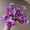 F, variant on Amzcrzy Home Decorations, Artificial Flowers, Artificial Artificial Flower,Flowers Header Wedding Home Party Decoration Flowers,Indoor And Outdoor Decorative Crafts, plumbing agent