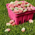 thumbnail image 4 of Sour Patch Kids, Strawberry Candy, Gummy Candy, Sour Candy, 4 of 10