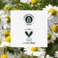 thumbnail image 4 of Herbal Essences Chamomile Shine Shampoo, 4 of 8