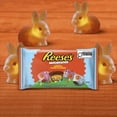 thumbnail image 4 of REESE’S Miniatures with Sprinkles, 200g, 4 of 10