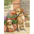thumbnail image 1 of Carolines Treasures CDCO0383GF Père et Fils Jaune Drapeau Labrador Jardin Taille, 1 of 3